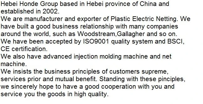 company profile