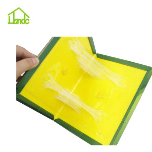 কার্ডবোর্ড মাউস ট্র্যাপ বোর্ড গ্লু ট্র্যাপ