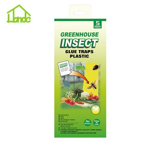 Fruit Fly Trap Sticky Insect Glue Trap