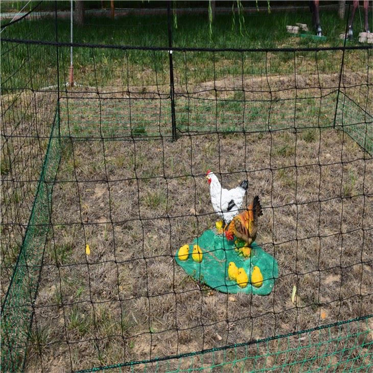 Movable Poultry Fencing In Plastic