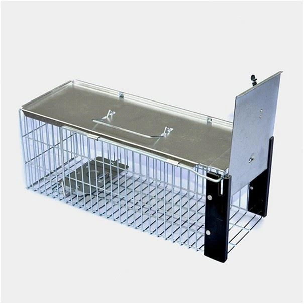 Professional Live Traps Rat Live Trap Cage